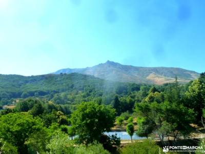 Gredos: Sierras del Cabezo y Centenera;bosque de valsaín canchal de la ceja sierra de somosierra bo
